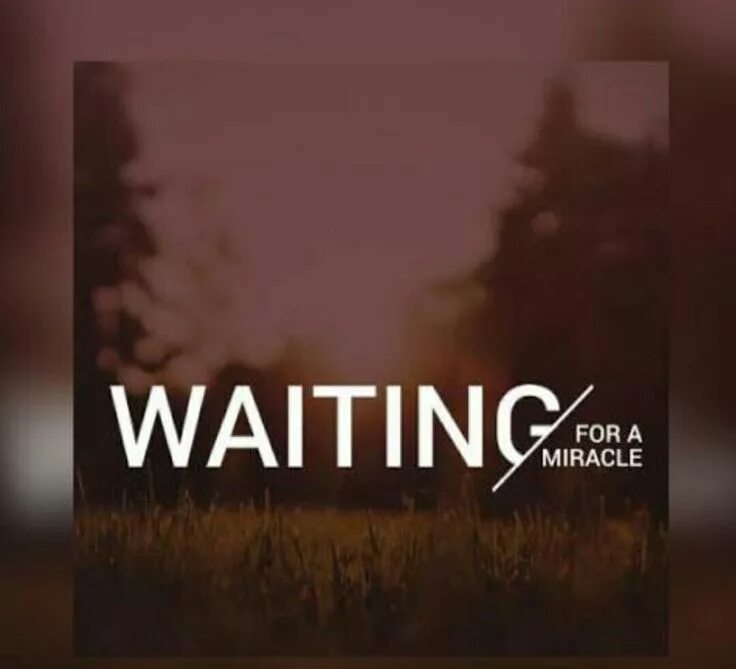Waiting for an available server. Waiting for a miracle картинка. waiting on a miracle screenshots. waiting on a miracle guitar. in waiting for the miracle зимние картинки.