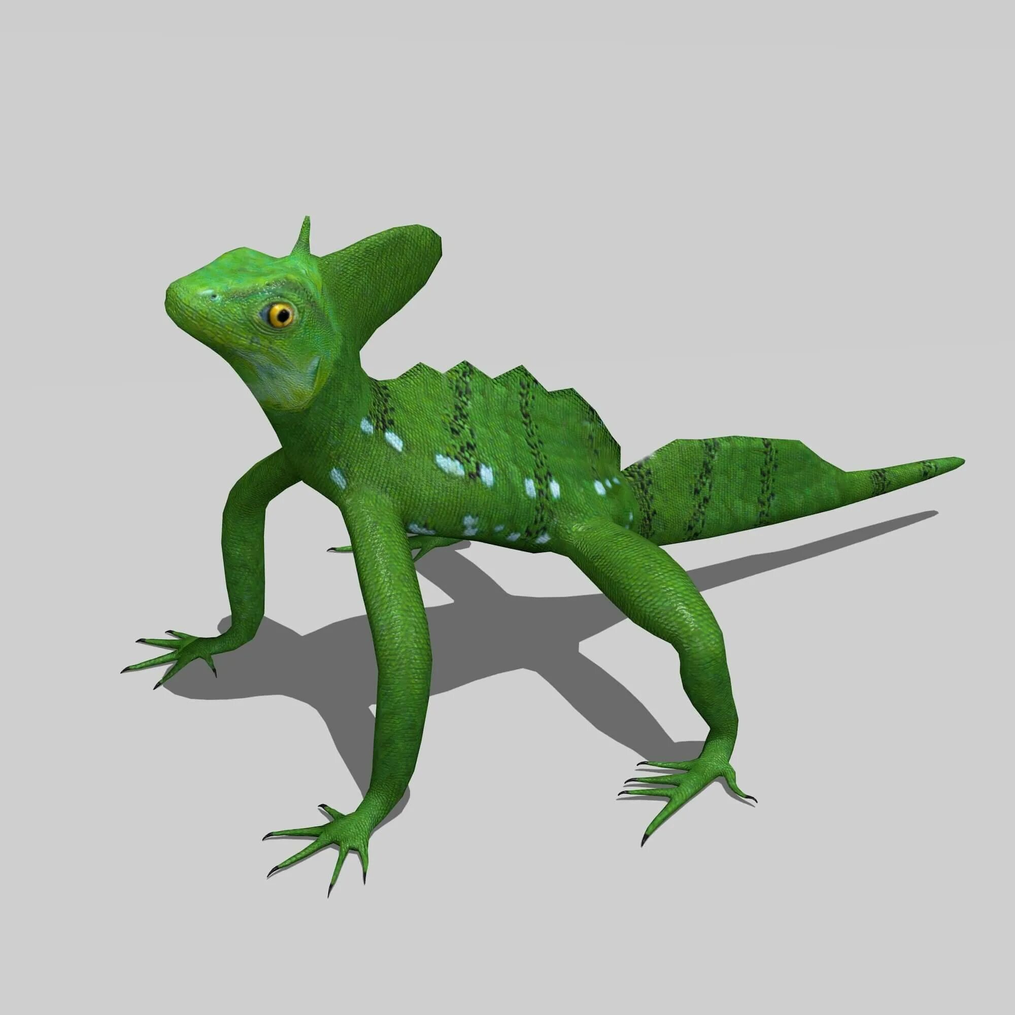 Ящерица 3д модель. Василиск 3 d модель. игуана василиск. 3d ящерица.