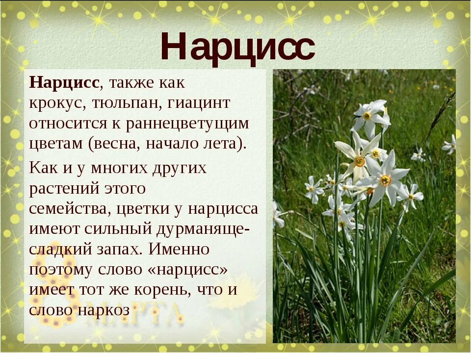 Как писать многое лета