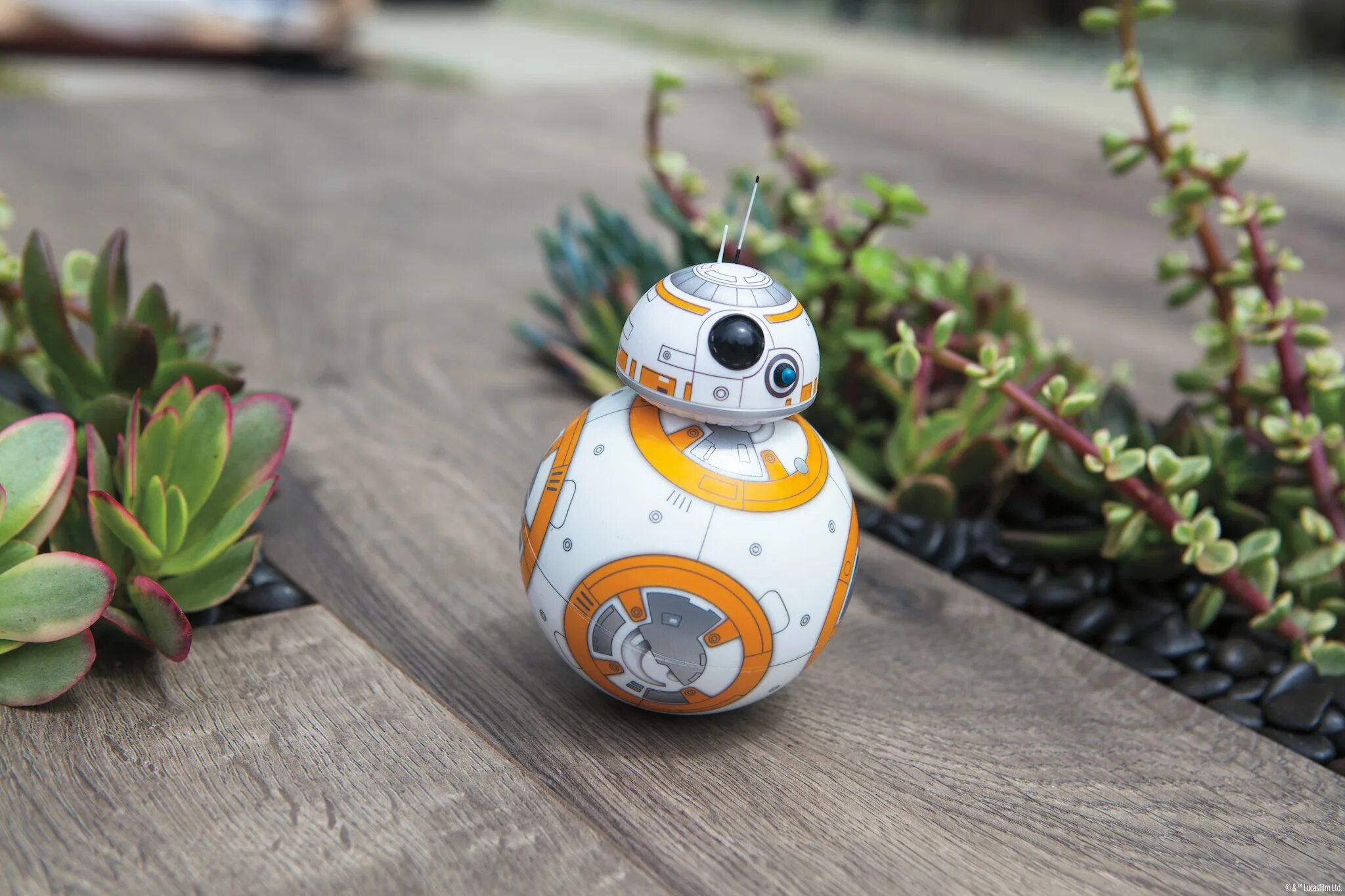 Робот bb 8