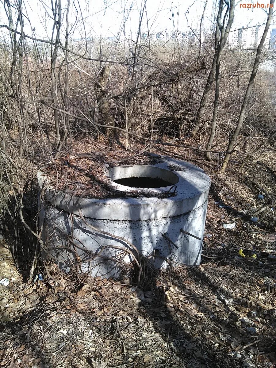 Люк курск. Канализационный люк в лесу. люк в лесу. люк в зарослях. красный люк в лесу тесла.