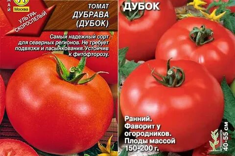 Дубок томат описание сорта характеристика