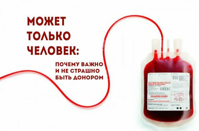 Переливание крови спасло жизнь. Может только человек донорство. Донорство крови и ее компонентов. Донорство крови и ее компонентов может быть. Переливание донорской крови и ее компонентов.