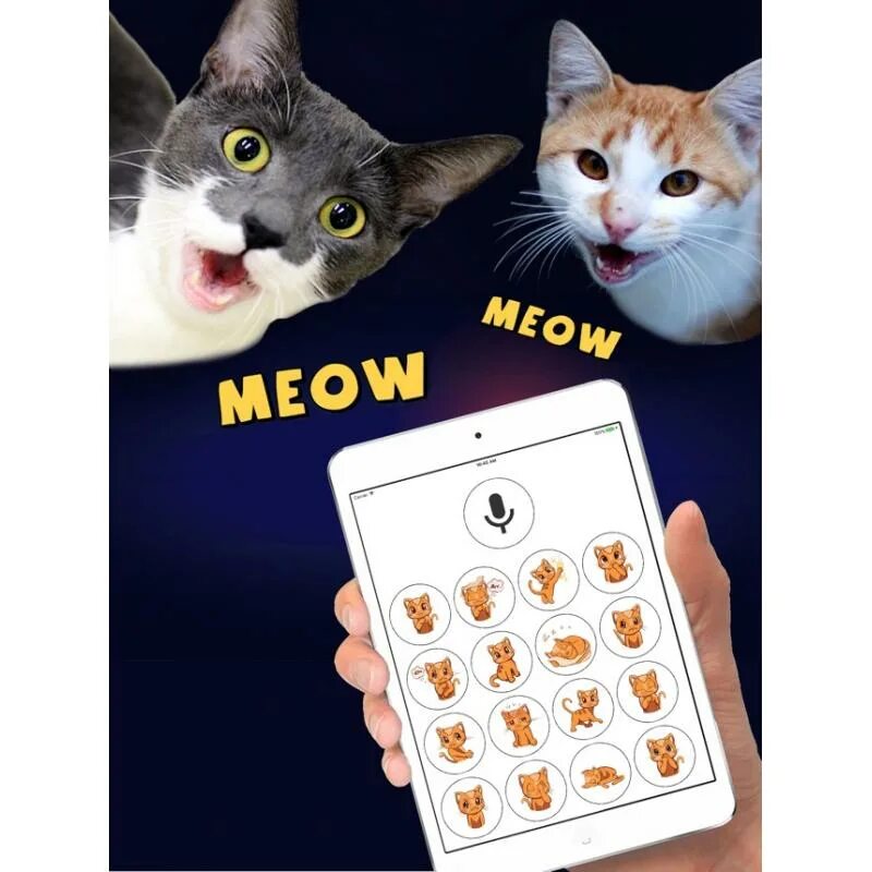 Включи приложение кот. Кошачий переводчик. приложения с котами. переводчик с кошачьего на русский.