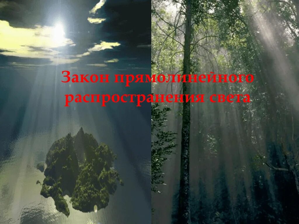 Распространение света фото. Прямолинейное распространение света фото в природе. Прямолинейное распространение света картинки из жизни. Наблюдение прямолинейного распространение совета фото. Свет твоего луча