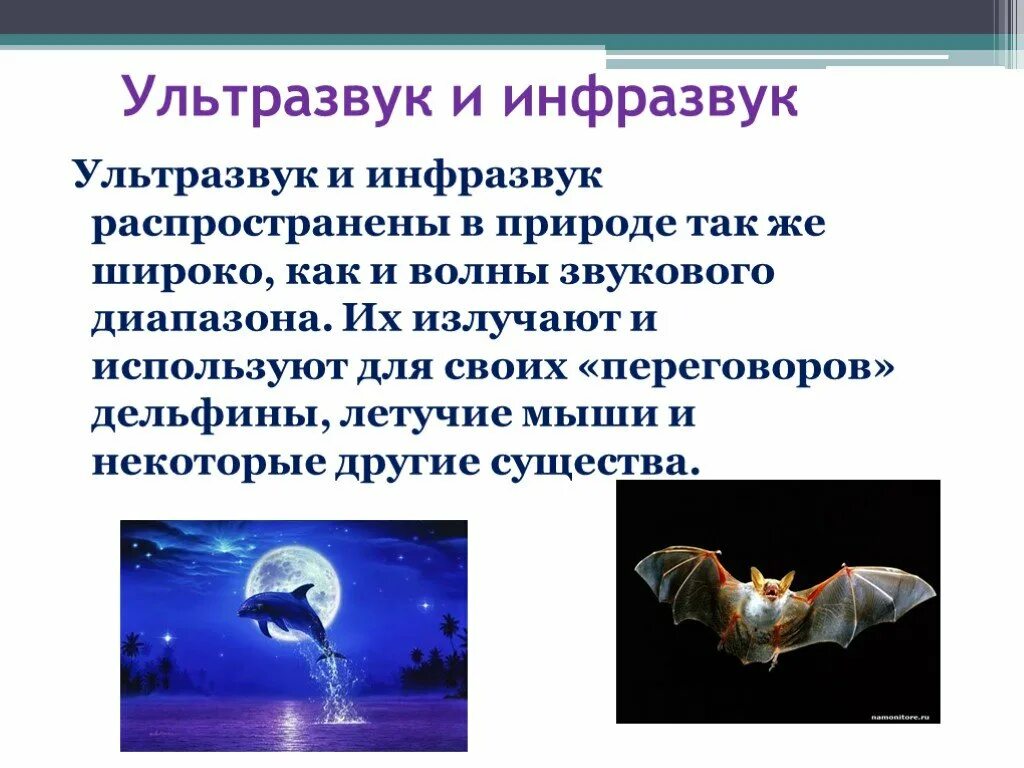 Ультразвук презентация по физике 9 класс. Ультразвук эхолокация инфразвук. источники ультразвука и инфразвука. ультразвук и инфразвук в природе. ультразвук и и нфрозвук в природе.