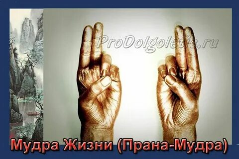 Тема мудры
