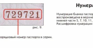 Откуда номер 31