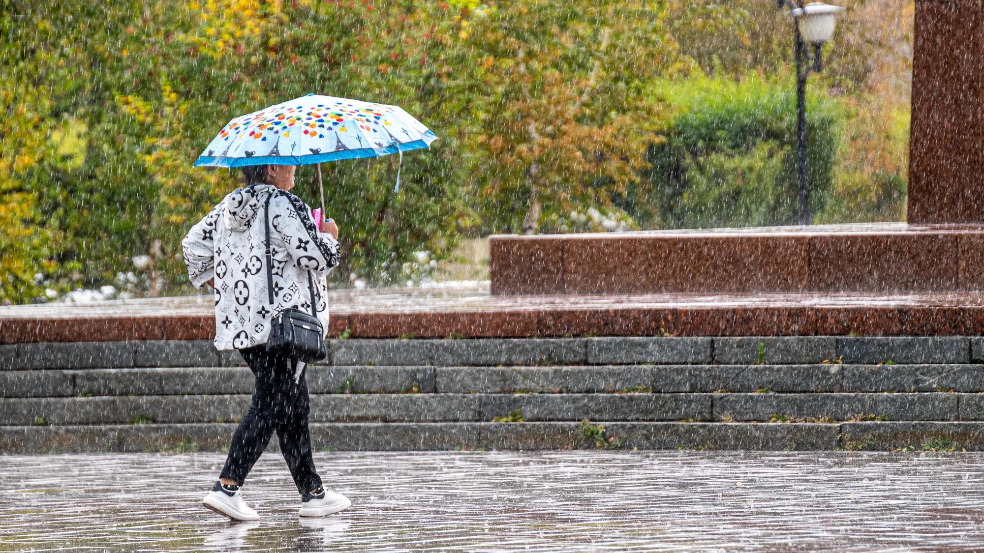 Алиса сегодня дождь есть. Сильный дождь. Люди под дождем в городе. Сентябрь дождь. Дождливая погода фото.