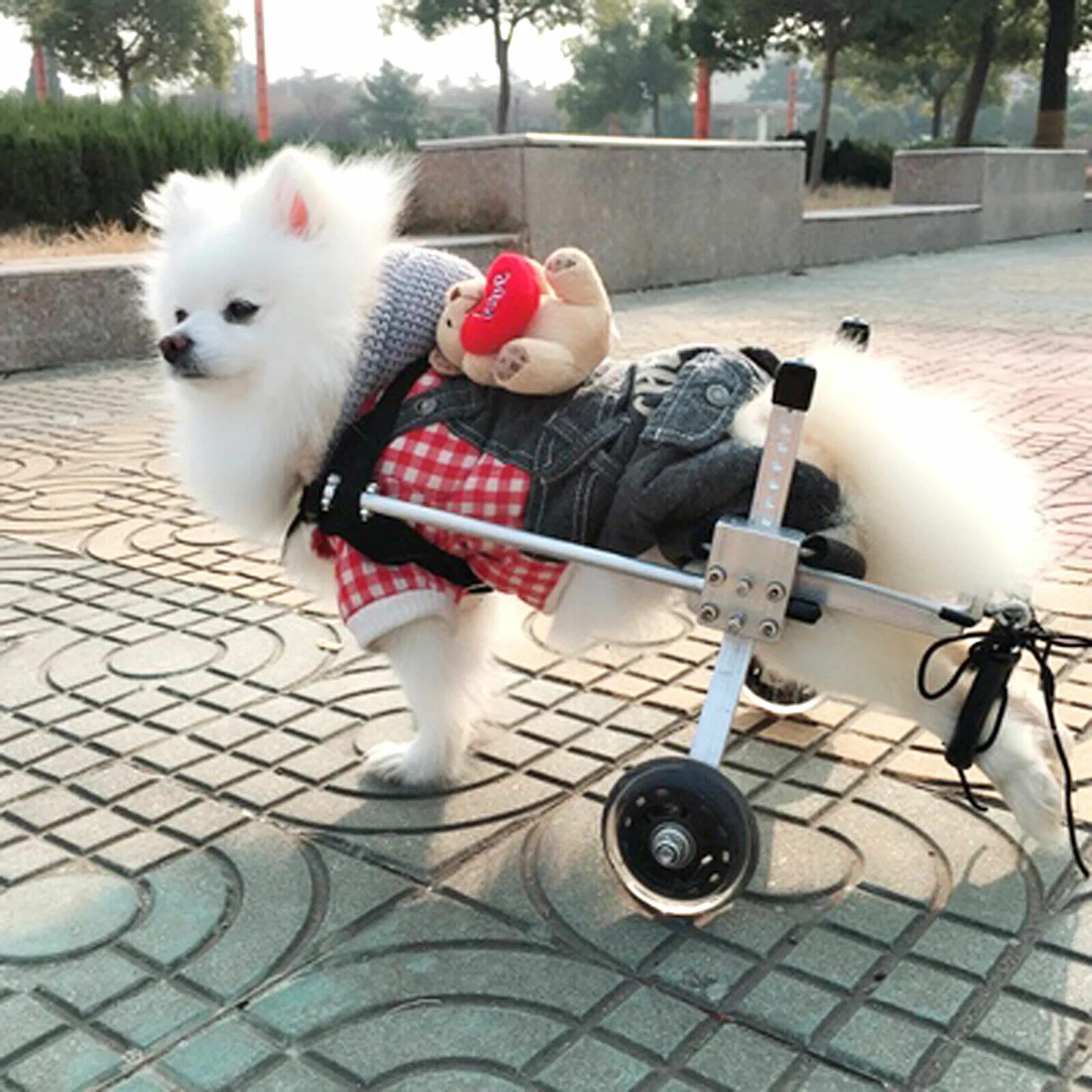 Коляска для собак на задние лапы. Инвалидная коляска для собак Walkin Wheels. Инвалидные коляски Dog wheelchairs. Инвалит ная коляска для собаки. Инвалидная коляска для кошек.