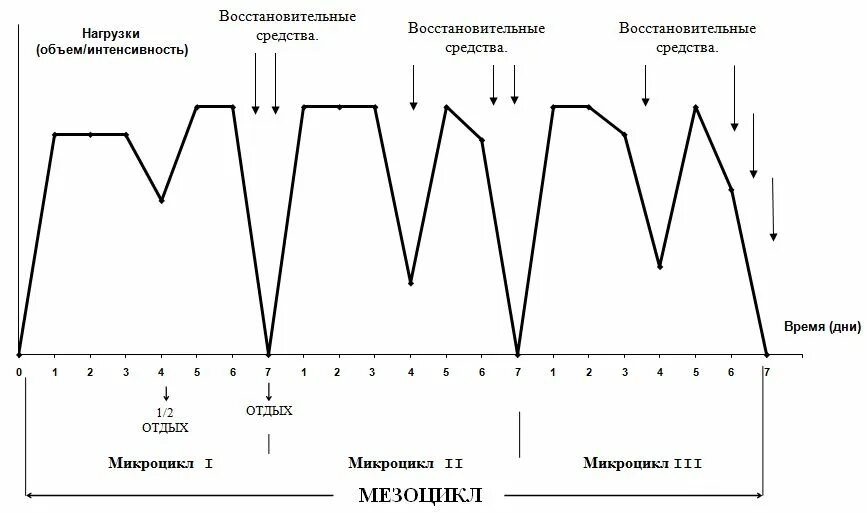 Нагрузки основные группы. Микроцикл мезоцикл макроцикл таблица. Микроцикл, мезоцикл и макроцикл спортивной тренировки .. Микроциклы макроциклы мезоциклы в тренировочном процессе. Примерные схемы тренировочных микроциклов.