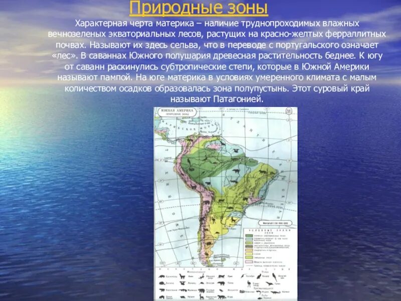 Природные области южной америки. Природные зоны Южной Америки. Природе зоны Южной Америки. Природные зоны материка Южная Америка. Южная Америка самый влажный материк.