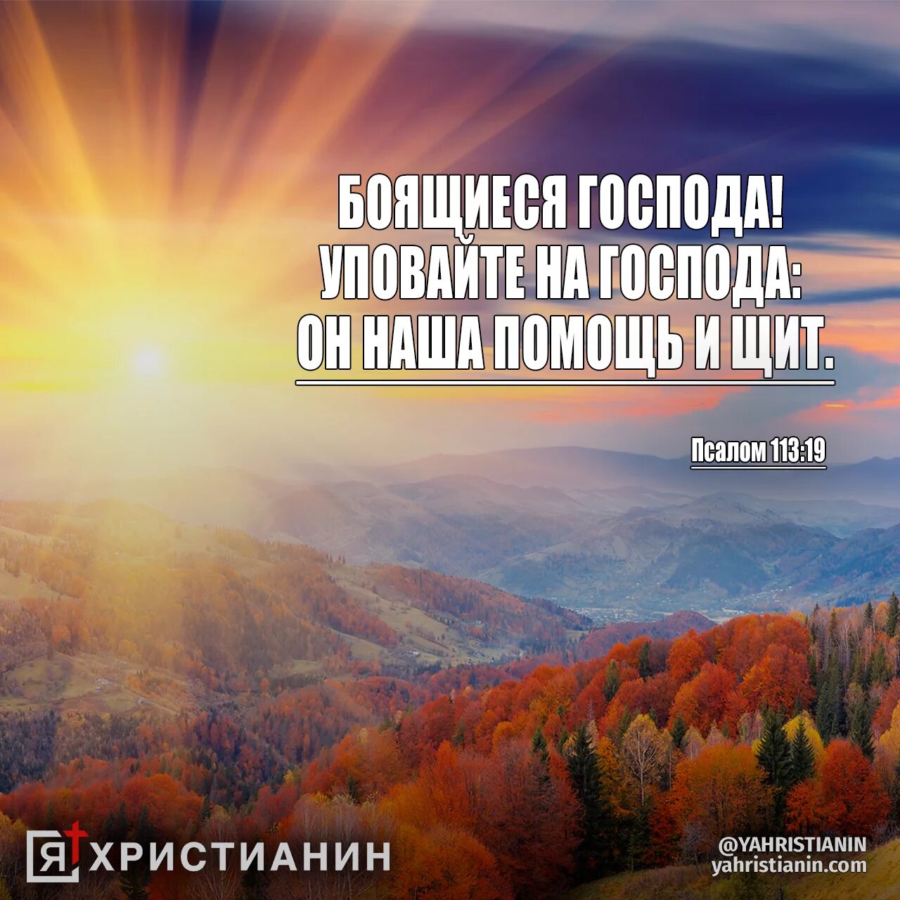 Псалом 25 читать. Псалом 113. Цитаты из псалмов в картинках. Божьи обетования. Псалом стихи.