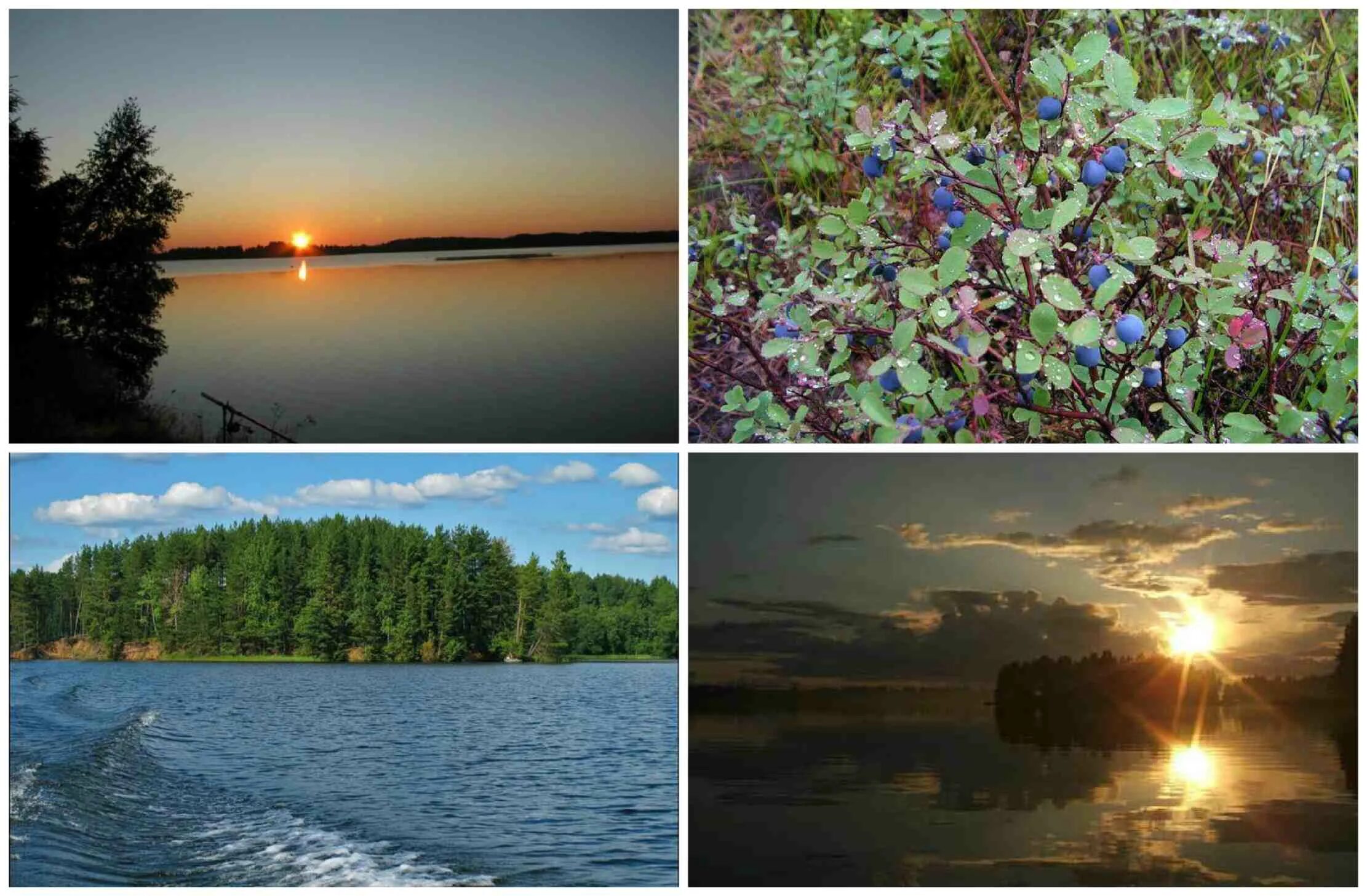 Озеро велье новгородская