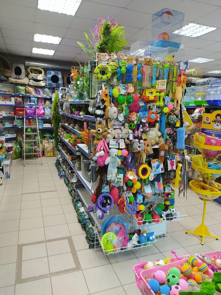 зоомагазин внутри. зоомагазин бронницы. зоомагазин в бронницах адрес. зоомагазин бронницы. авокадо магазин продуктов.