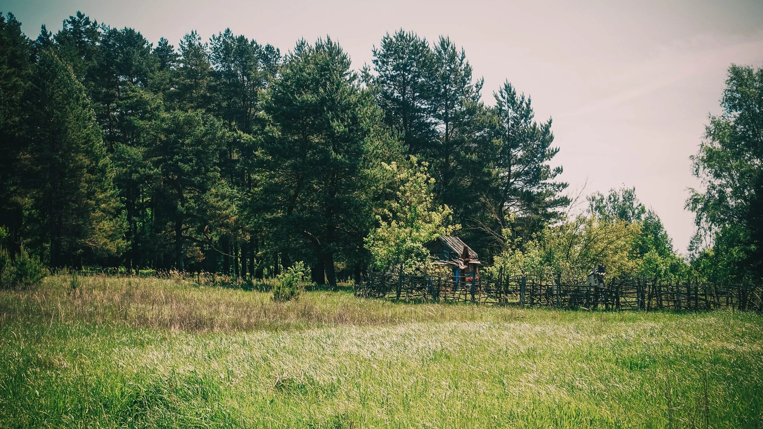 бассейн вербовский муром