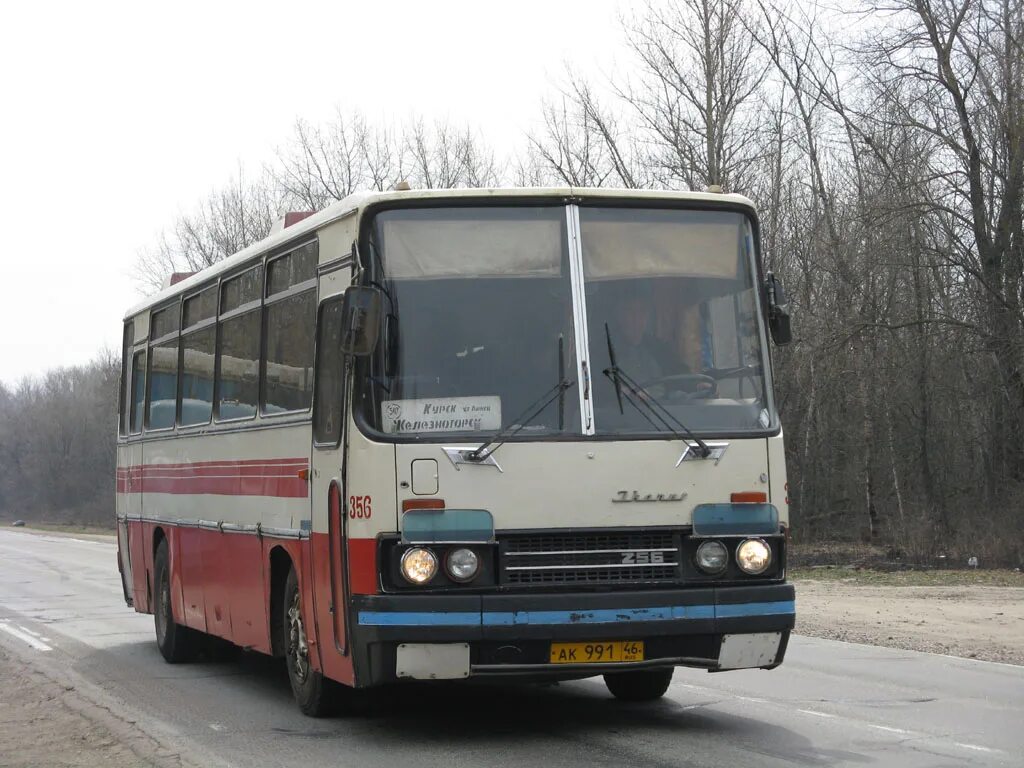 Курск железногорск купить. Ikarus 256.75. Ikarus 256 Курская область. Ikarus 256 Белгород Железногорск. Железногорск Курская область Икарус 250.