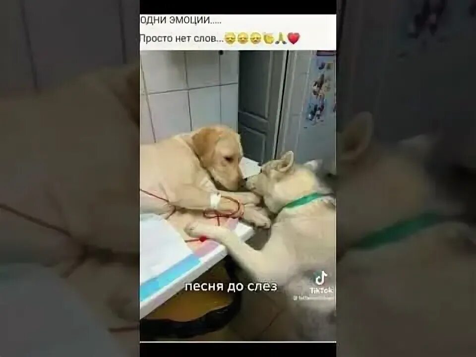 Песня не меняйте вы людское на никчемные. Песня не меняйте вы людское на никчемные. Песня не меняйте вы людское на никчемные. Песня не меняйте вы людское на никчемные. Песня не меняйте вы людское на никчемные.