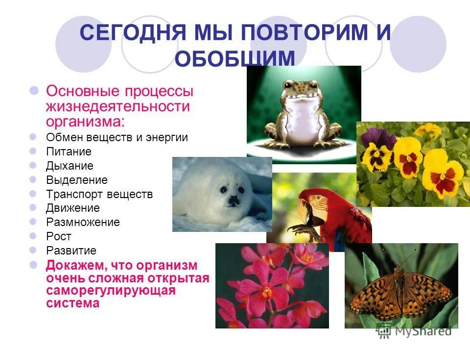 процессы жизнедеятельности живых организмов