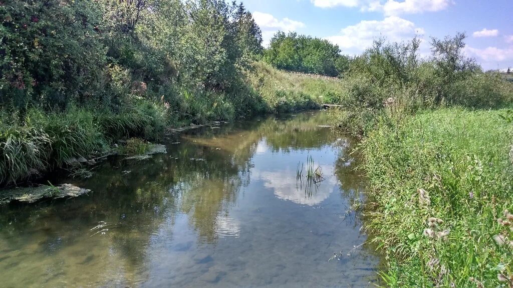 Село Покровское Каменский район. Покровское (Каменский городской округ). Покровское Каменский район Свердловская область. Село Покровское Каменский район река Камышенка.