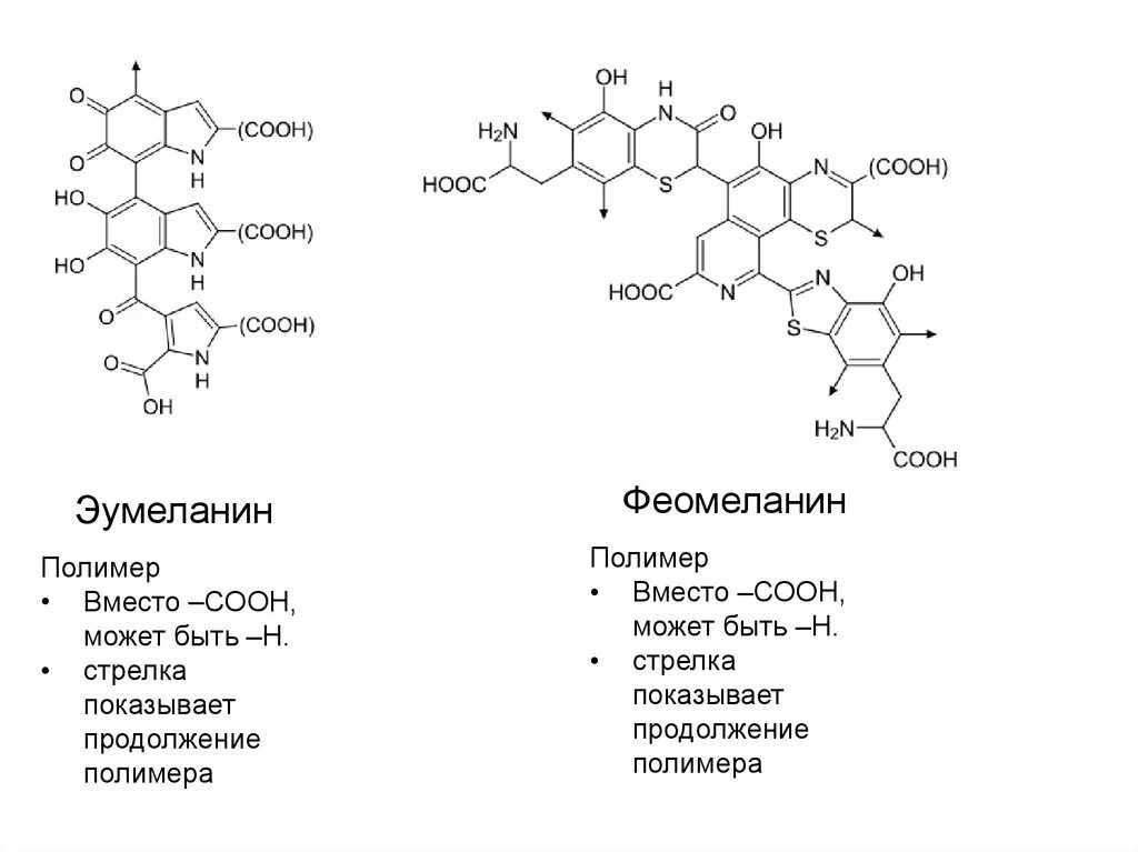 Меланин пигмент волос. Эумеланин и феомеланин. Меланин формула структурная. Меланин эумеланин феомеланин. Эумеланин и феомеланин пигмент.