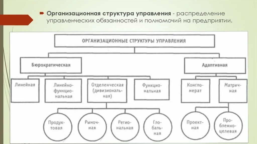 Какому виду организационной структуры. Бюрократическая структура управления схема. Бюрократическая организационная структура схема. Типы бюрократических структур управления организацией. Типы организационных структур управления схемы.