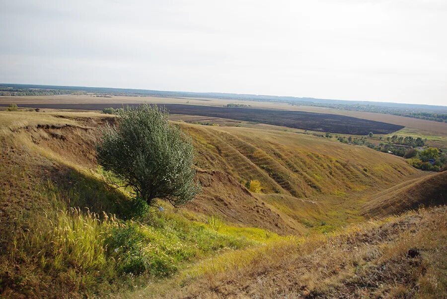 Села острогожского района