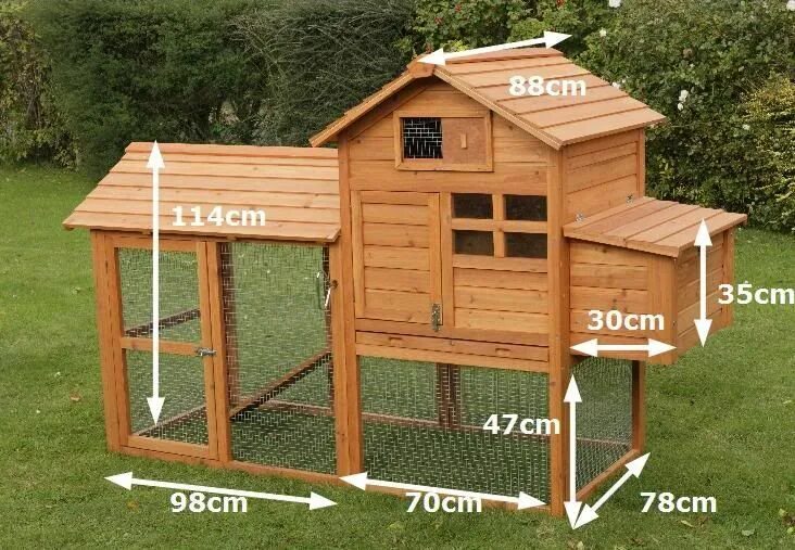 Chicken coop, Coops, Chicken runs