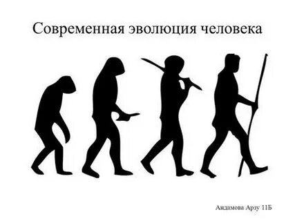 Поскольку человек