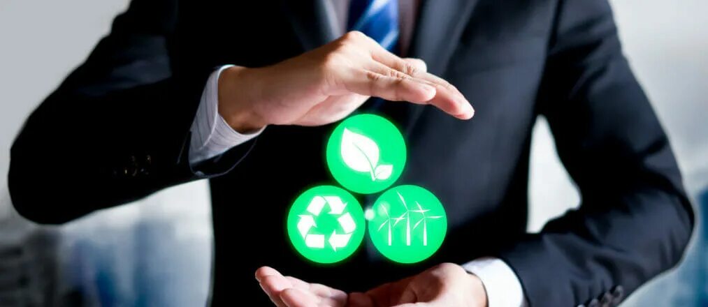 Business sustainability. Экологический бизнес. Экологический бизнес. Green business. Business sustainability.