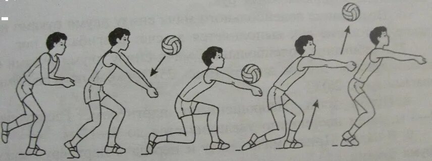 Партнер снизу. Техника передачи мяча двумя руками снизу в волейболе. Передача мяча снизу двумя руками в волейболе. Техника передачи мяча снизу в волейболе. Техника передачи мяча 2 руками снизу волейбол.