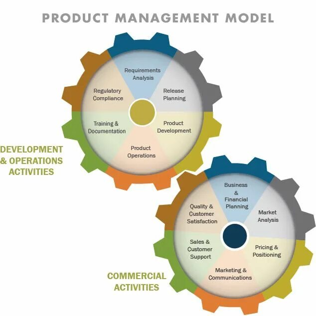 Управление продуктом менеджмент. Модель управления продуктом. Продуктовый менеджер. Продуктменеджемент это. Management activities