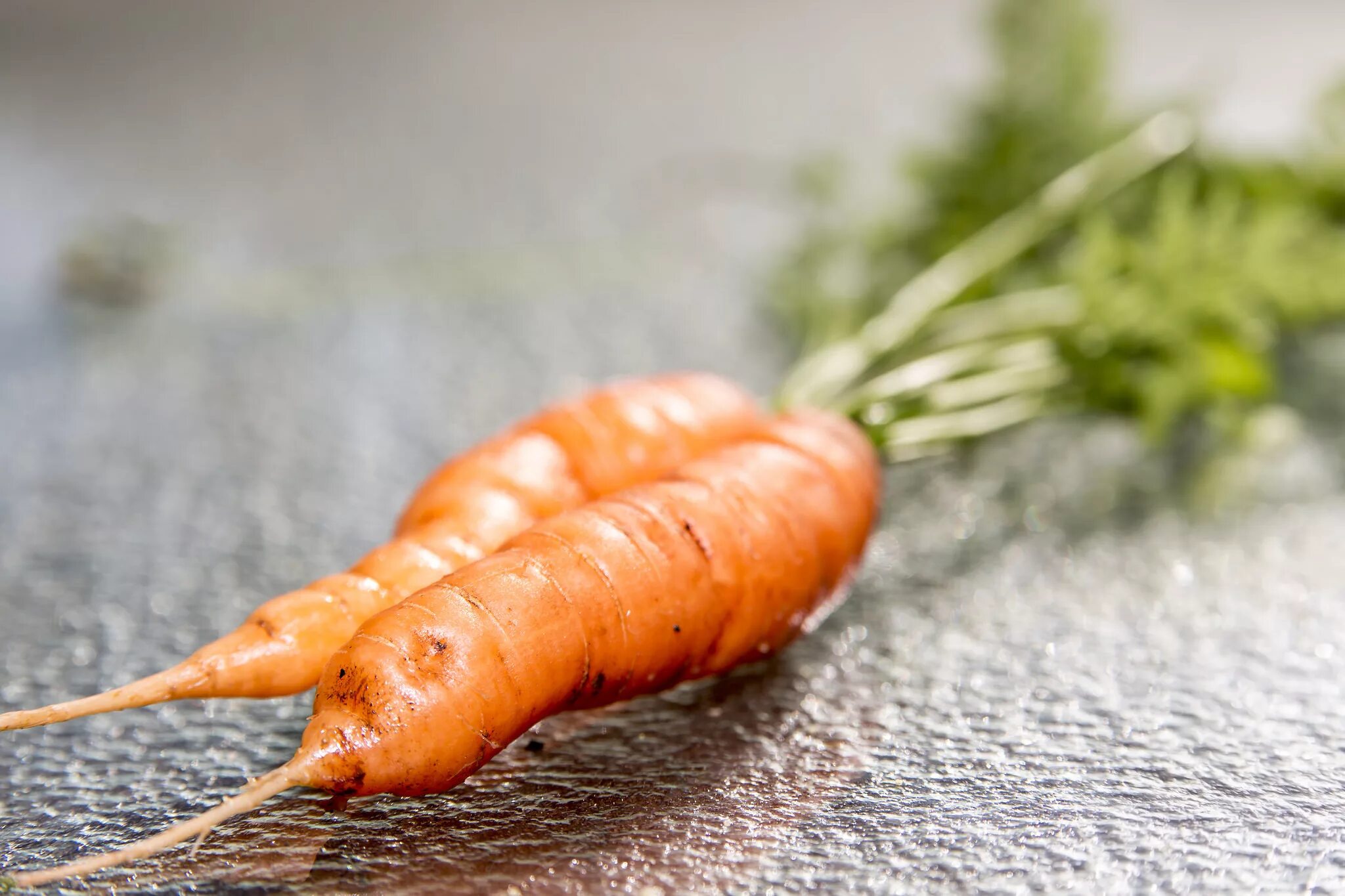 Carrot vegetable. Морковь. Овощи морковь. Морковка фото. Оранжевая морковь.