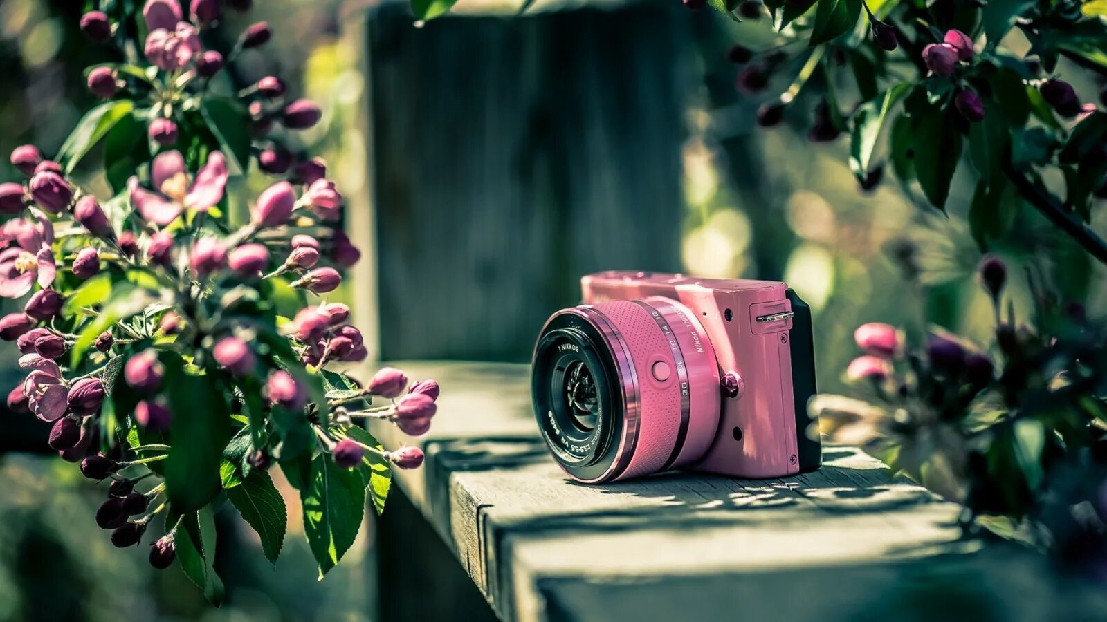 Красивый фотоаппарат. Фотоаппарат. Фотоаппарат и цветы. Цветочек на камере. Фотик в цветах.
