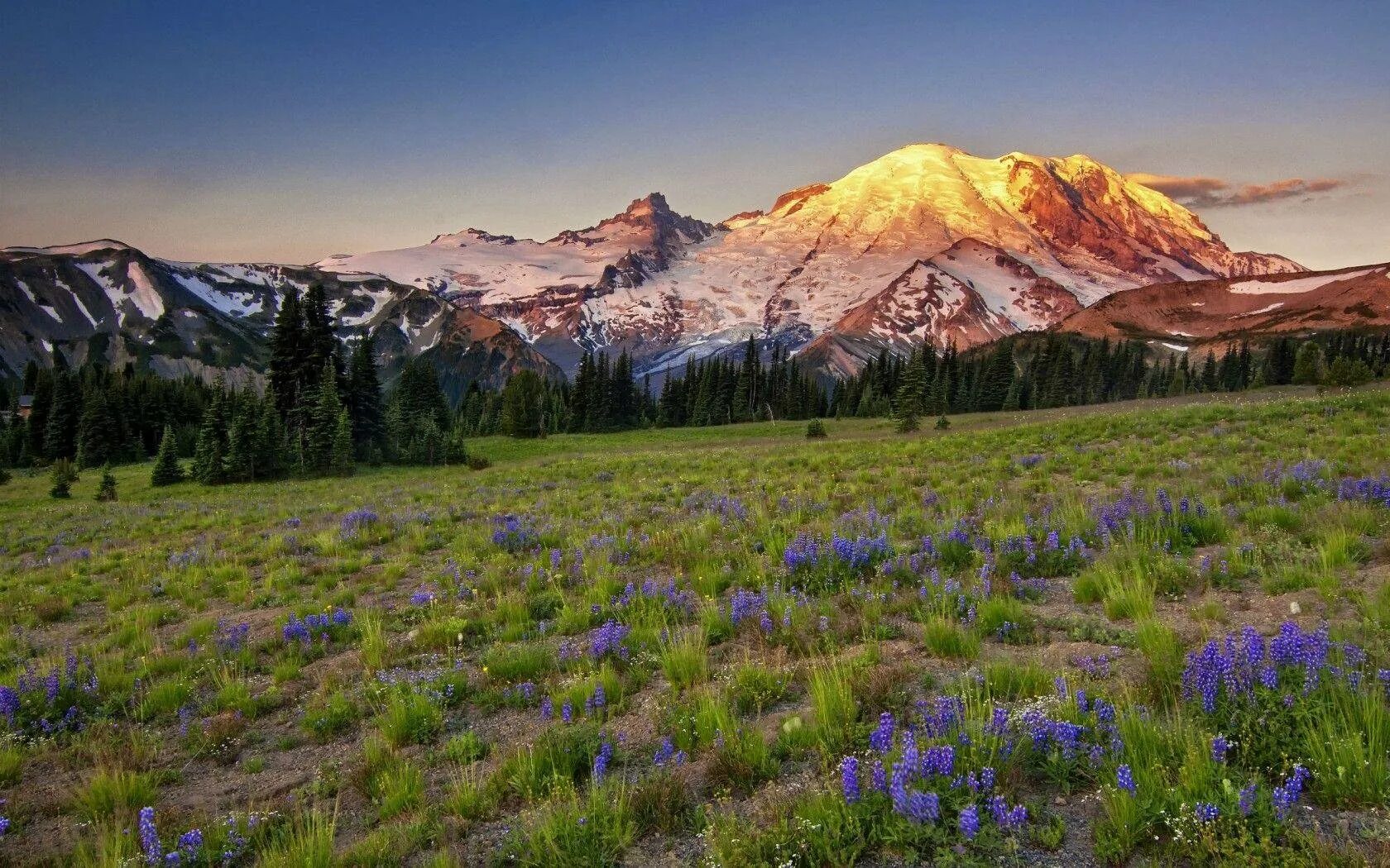 National park usa. Национальный парк Маунт-Рейнир. Парк Маунт Рейнир США. Национальный парк Маунт-Рейнир, штат Вашингтон. Нац. Парк Маунт-Рейнир штат Вашингтон 1.