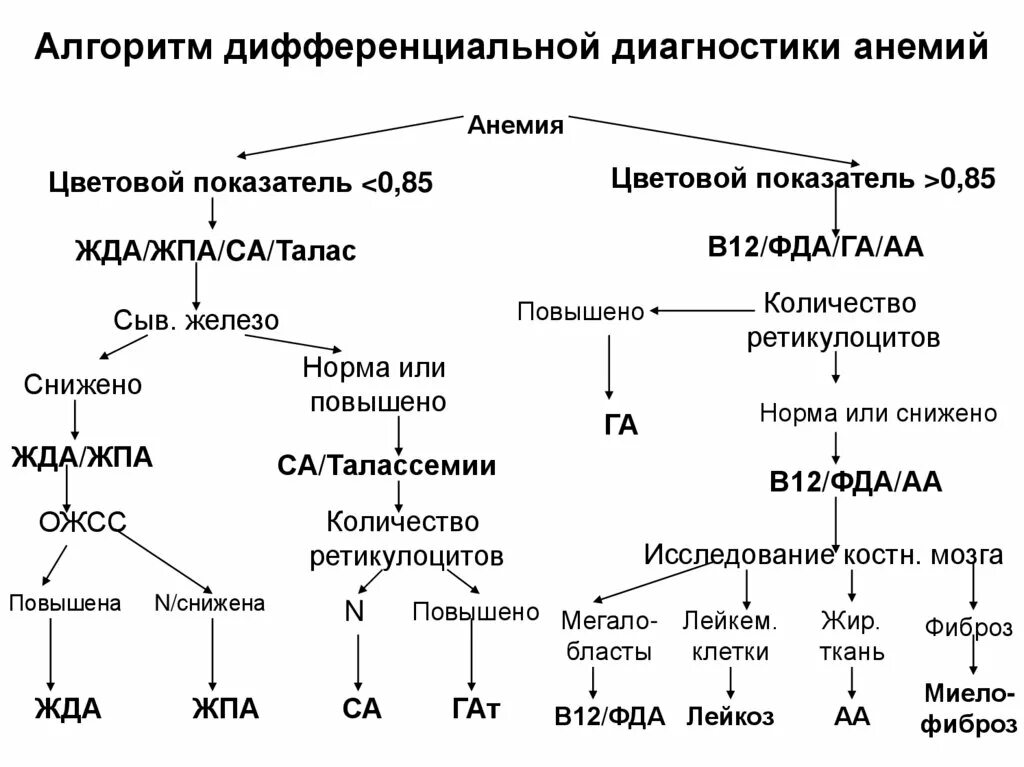 Относительная анемия. Диагностический алгоритм диагностики анемии. Таблица дифференциальной диагностики анемий. Алгоритм лечения железодефицитной анемии. Схема диагностика железодефицитной анемии.