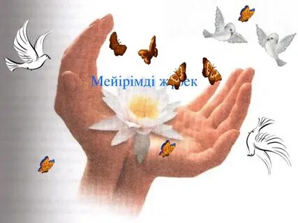 Мас әйелдер порно