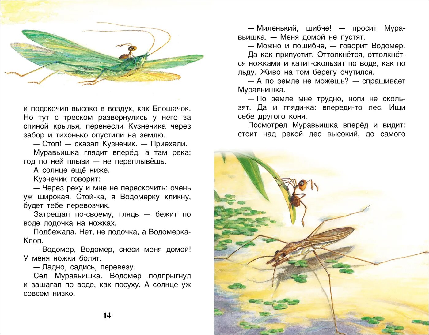 Рассказы бьянки 3 класс. Сказки виталия бианки. рассказы бианки. рассказы в бианки о животных 2 класс. сказки и рассказы бианки 3 класс.