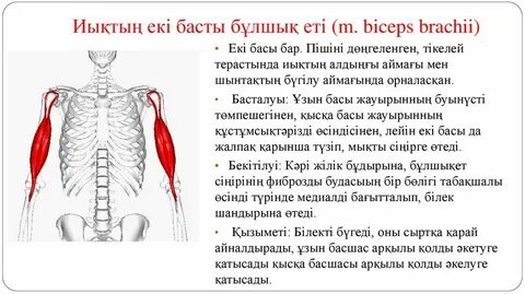 Брюнетка қысқа шашты орыс порно