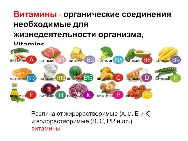 Водорастворимые и жирорастворимые витамины. Жирорастворимые витамины: а, д3, е, к.. Жирорастворимые и водорастворимые витамины кратко. Жирорастворимые и водорастворимые витамины в продуктах питания. Витамины а д 3 е
