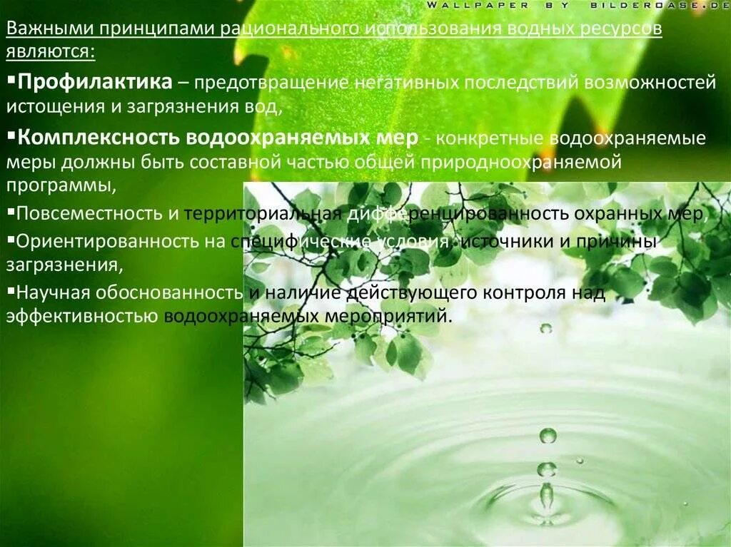 Основные принципы вода. Принципы рационального использования водных ресурсов. Важные принципы рационального использования водных ресурсов. Меры по предотвращению истощения и загрязнения водных ресурсов. Один из принципов рационального использования водных ресурсов.