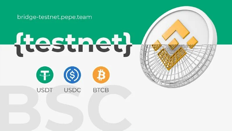Usdt bsc. Крипто монета tether. Tether лого. Usdt значок. Юсдт лого.
