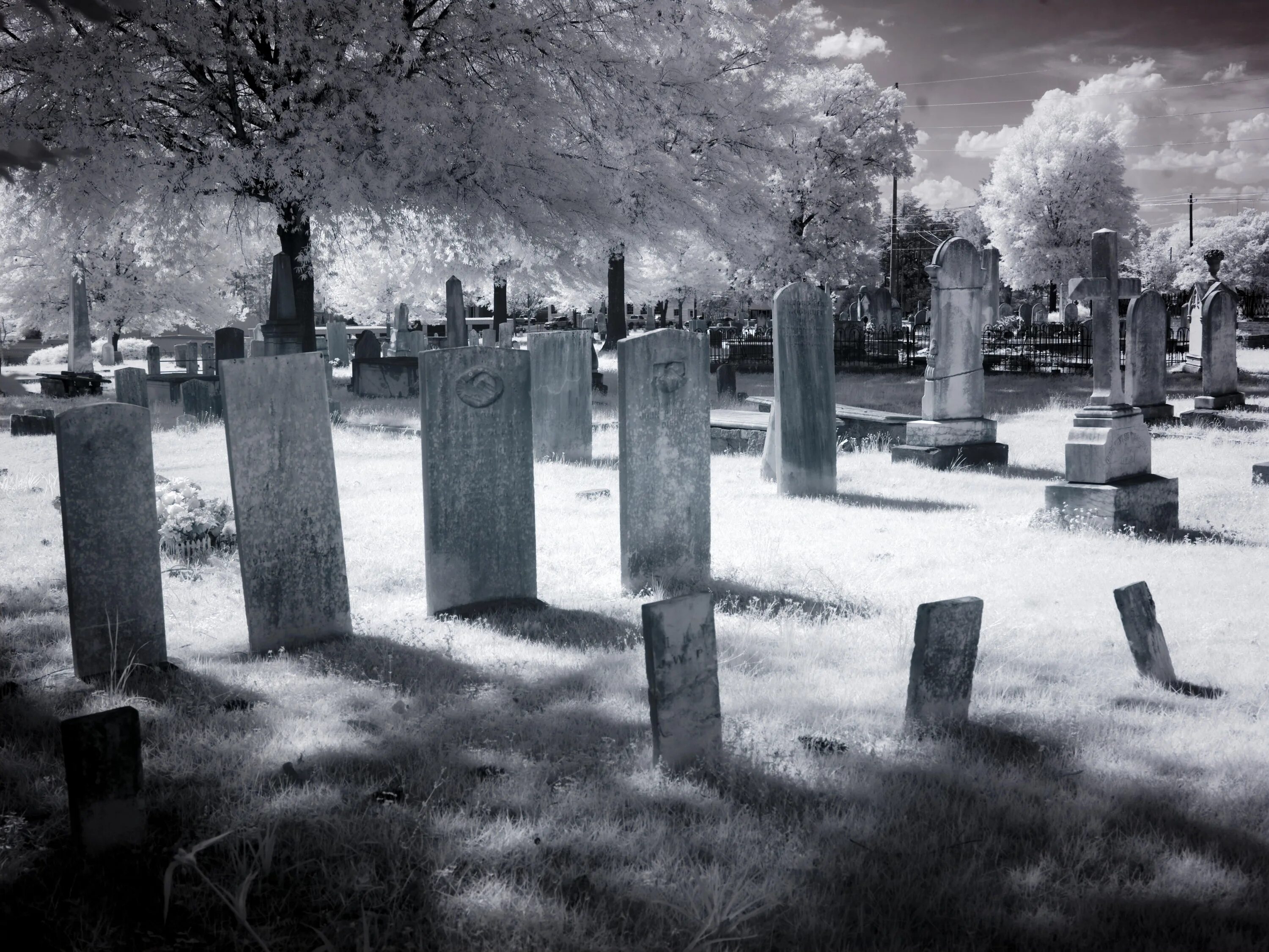 Йокогама иностранное кладбище. Mezarlik кладбище 2022. Кладбище Аризона 1966. Кладбище черно белое.