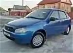 Калина йошкар оле