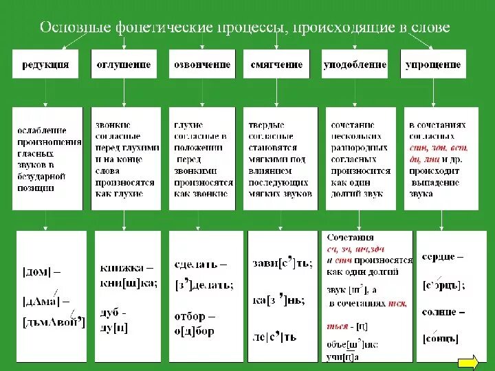 Текст период примеры. Фонетические процессы в русском языке. Виды фонетических процессов. Фофонетические процессы. Фонетические процессы в слове.