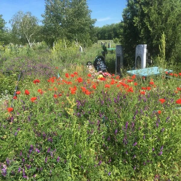 Крестовоздвиженское кладбище Ставрополь. Крестовоздвиженское кладбище Михайловск. Игнатьевское кладбище Ставрополь. Ставрополь кладбища Михайловск.