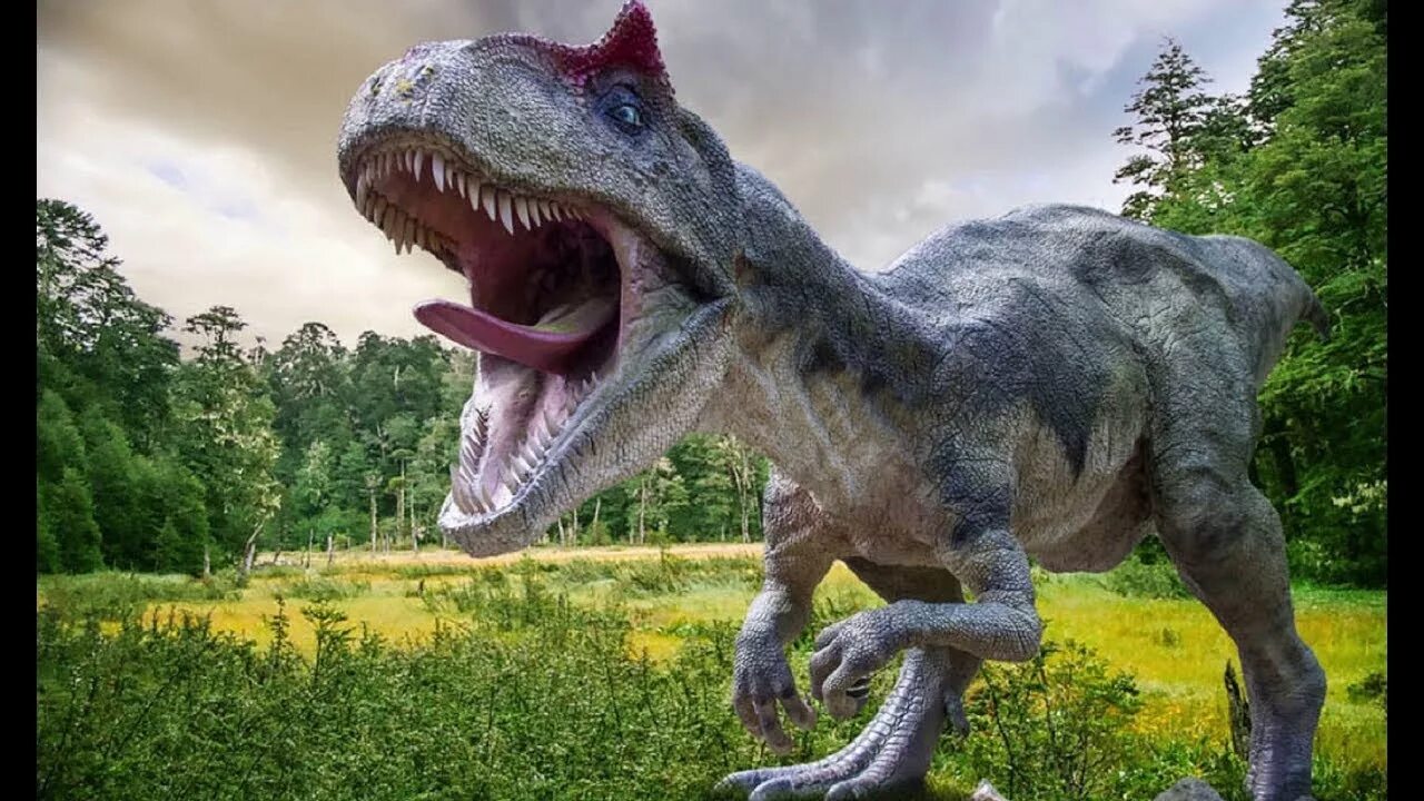 Динозавры Хищные Тирекс. Dino Valley Тираннозавр. Самый страшный динозавр в мире. Большой динозавр хищник