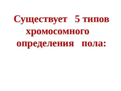 Существует пять