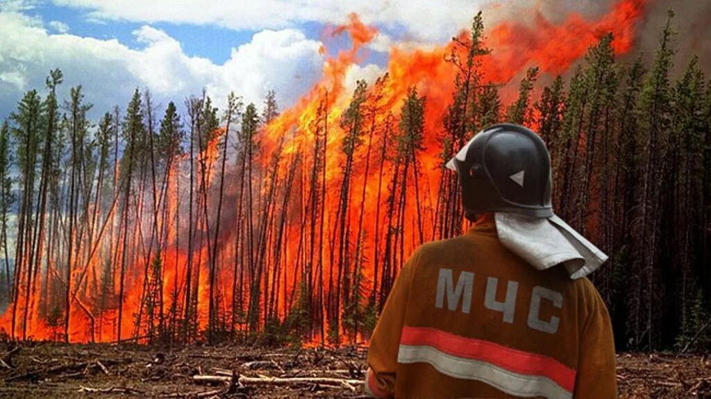Почему часто пожары. Лесные пожары на Байкале. Лесной пожар фото. Охрана лесов от пожаров. Человек в Лесном пожаре.