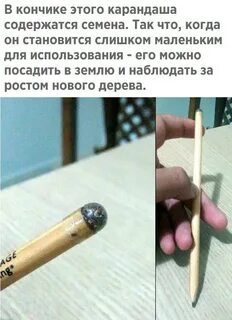 Почему грызут карандаш